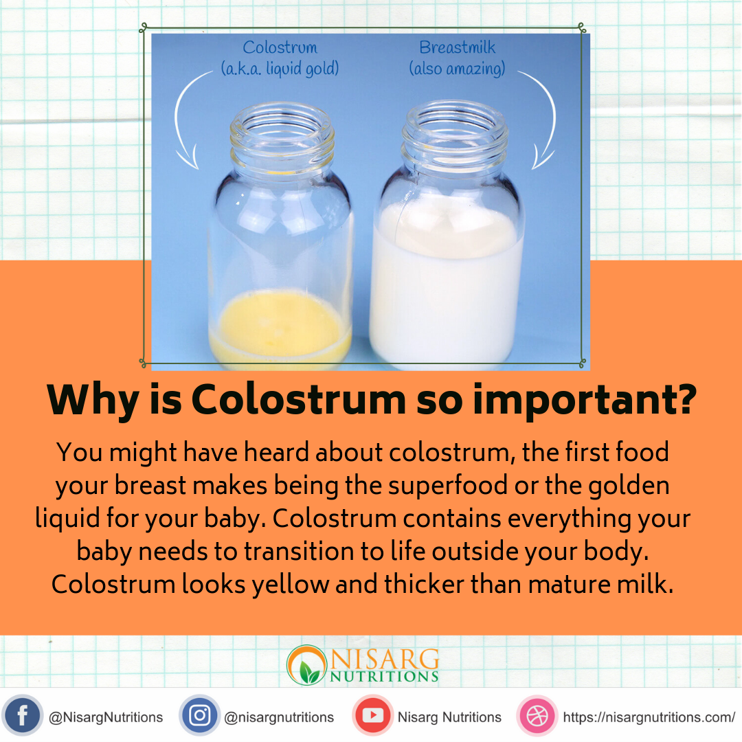What Is Colostrum Give Its Importance Class 12 at Gabriella Kintore blog