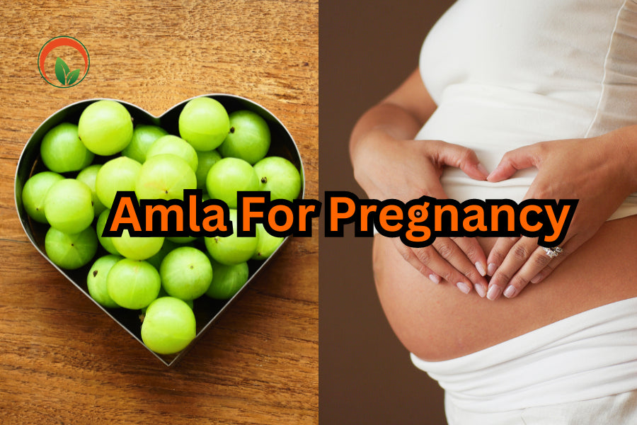 Harnessing the Power of Amalaki: Pregnancy Wellness and More