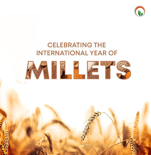 International year of millets